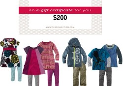 tea collection giveaway