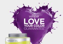 free valspar paint sample
