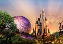 walt disney world