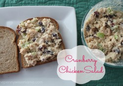 cranberry chicken salad