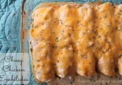 cheesy chicken enchiladas recipe