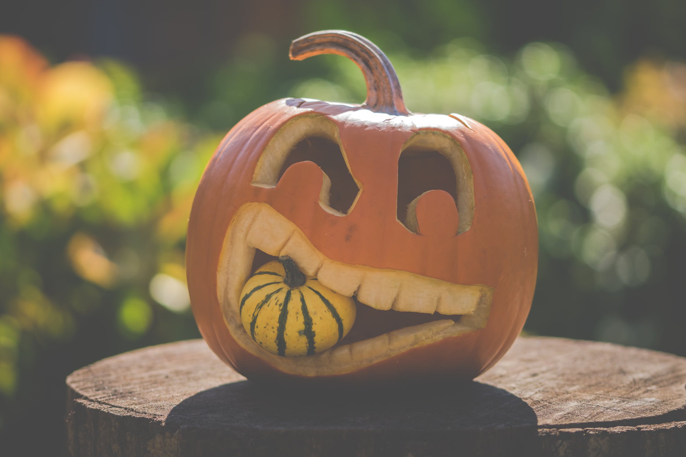 FREE Halloween Pumpkin Carving Stencils