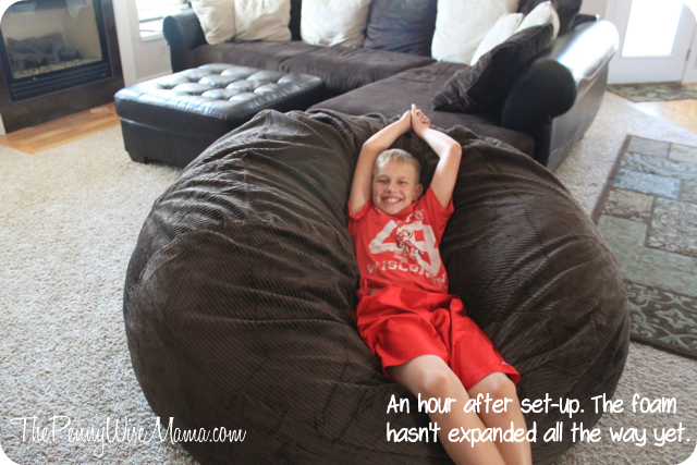 Comfy Sacks 6 Bean Bag Chair Review Giveaway The PennyWiseMama