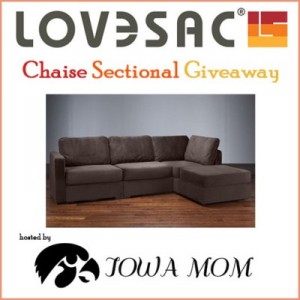 lovesac sectional