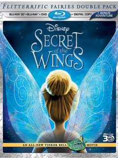 secret of the wings