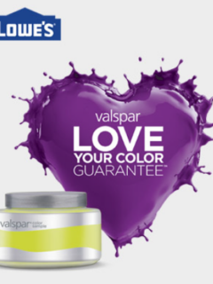 free valspar paint sample