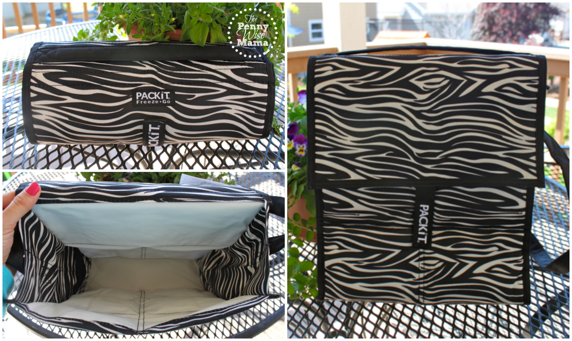 PackIt Freezable Lunch Bags Review + Giveaway