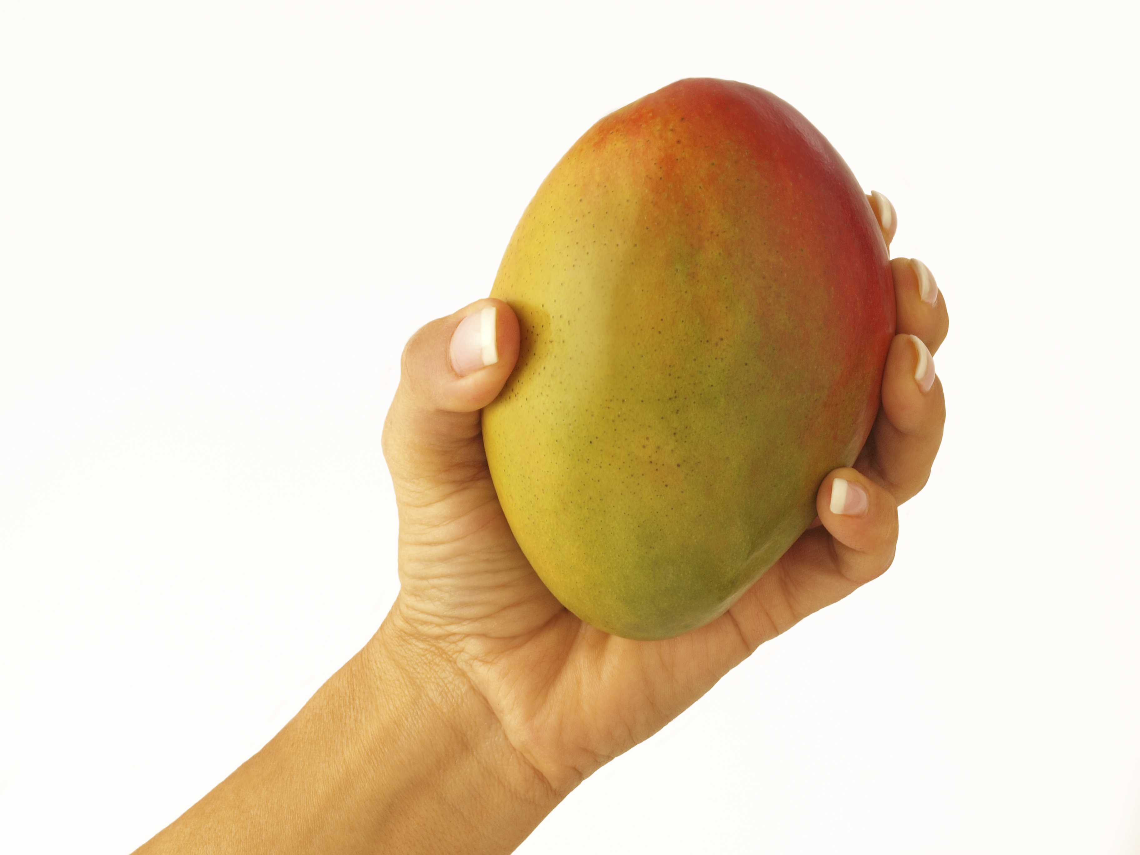 how to select a mango