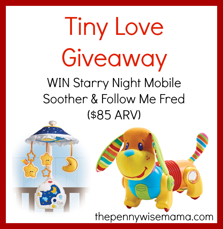 Tiny Love Giveaway