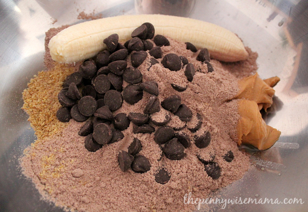 Chocolate Peanut Butter Protein Energy Bites