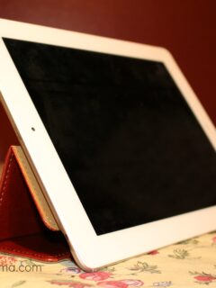 Snugg Leather iPad Case