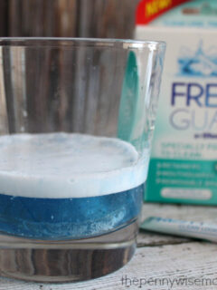 Fresh Guard Mouthguard & Retainer Cleaner