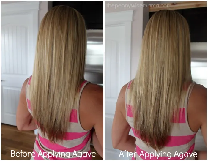 Get Healthier Hair with Agave Healing Oil Treatment - The PennyWiseMama
