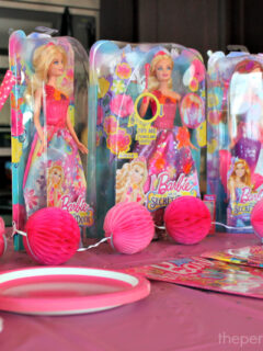 Barbie and the Secret Door Party Setup