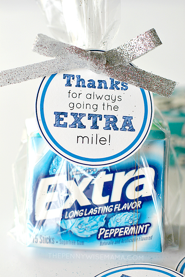 DIY Gift Idea with FREE printable gift tags - "Thanks for always going the EXTRA mile!" Makes a great teacher appreciation gift.