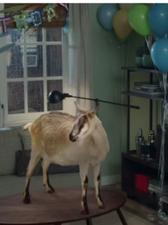 Discover's Super Bowl Commercial