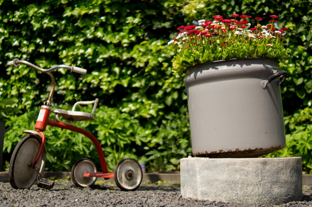 plant flowers for earth day