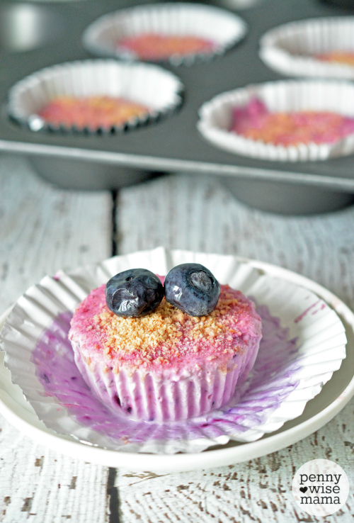 Berry Frozen Yogurt Cupcakes