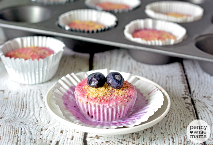 Berry Frozen Yogurt Cupcakes