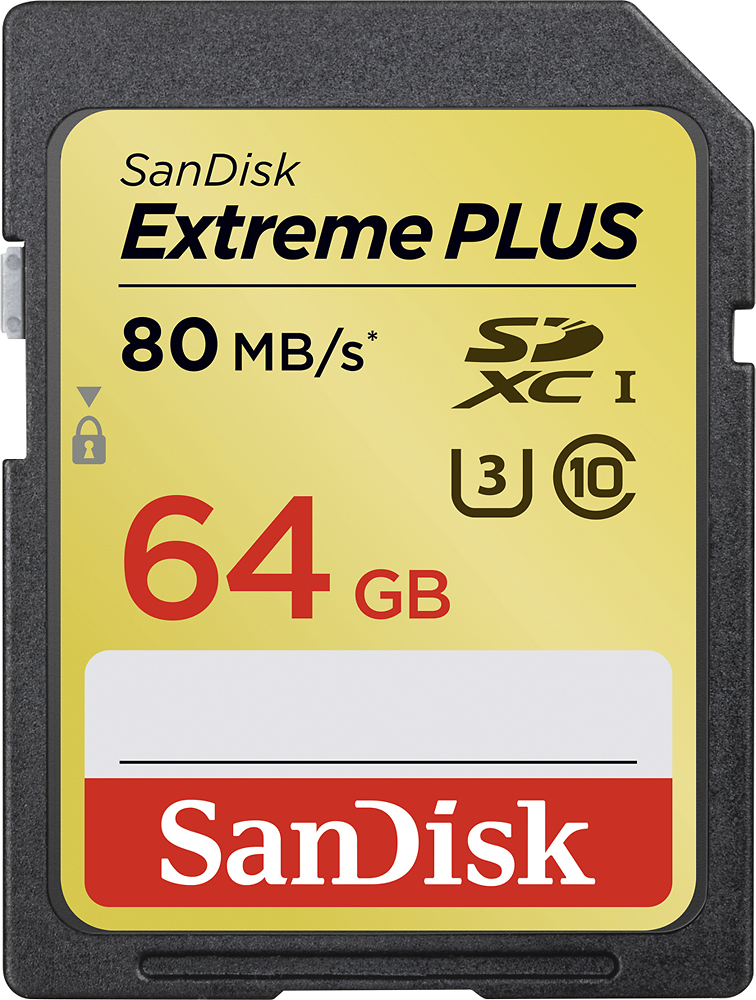 SanDisk SD Card at Best Buy