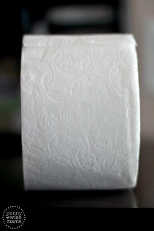 Why Charmin is the Best Toilet Paper