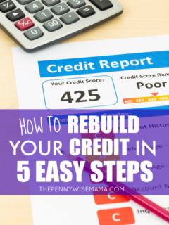 How to Rebuild Your Credit in 5 Easy Steps