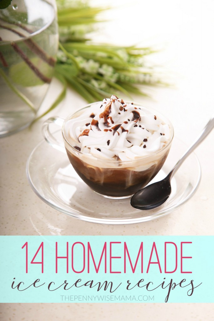 14 Homemade Ice Cream Recipes