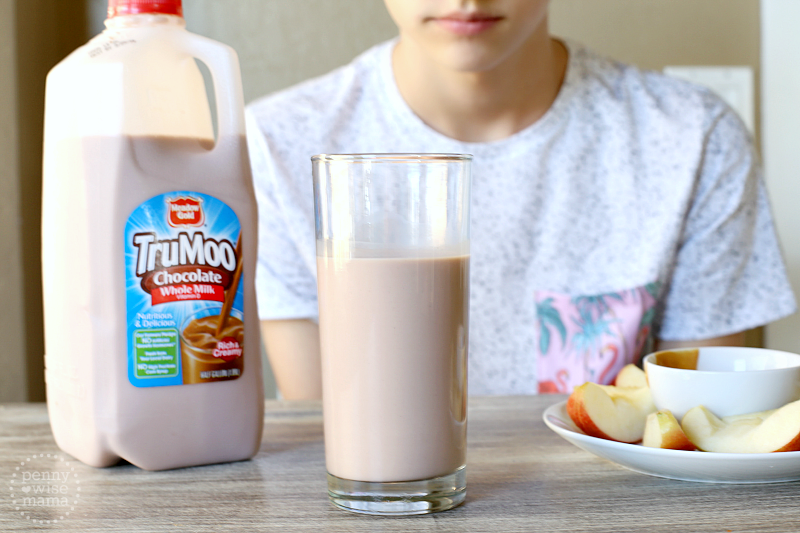 TruMoo Chocolate Milk