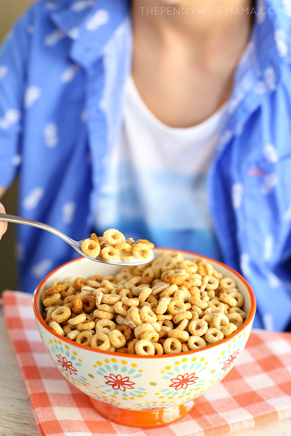 Yummy No-Bake Cereal Bars with Ancient Grains - The PennyWiseMama