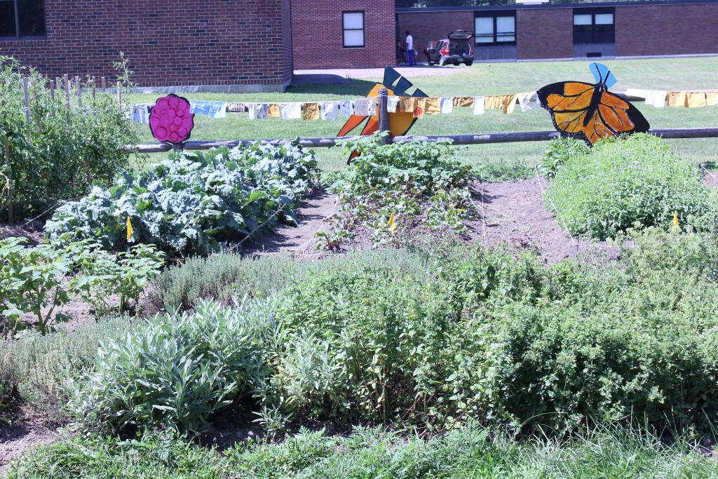 School Garden