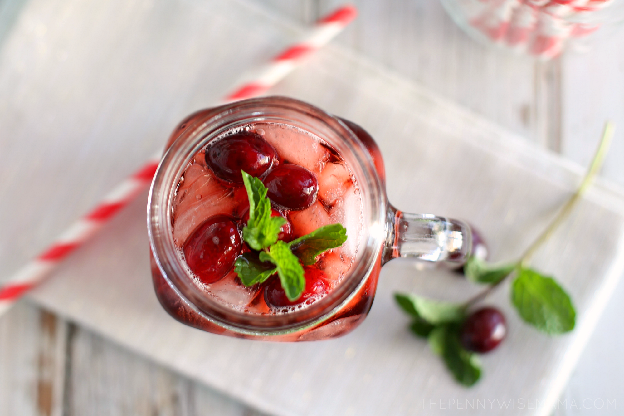 Cranberry Mint Iced Tea 