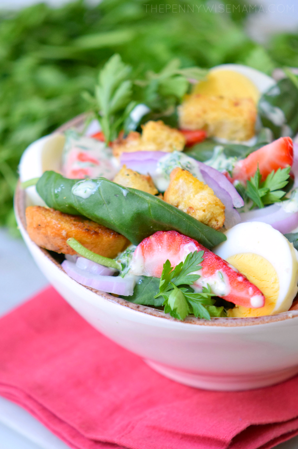 Strawberry Spinach Salad with Yogurt Dressing