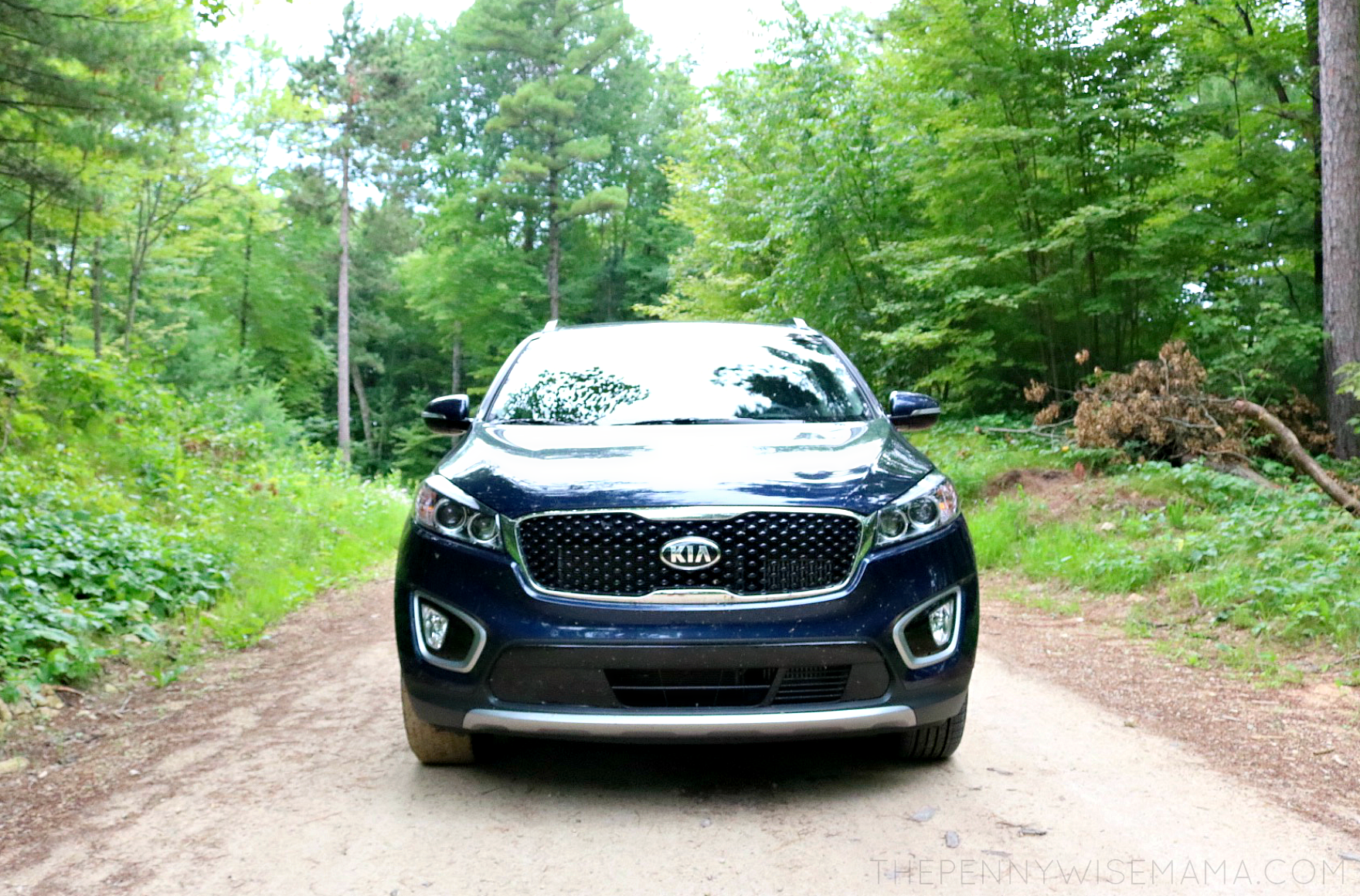 2017 Kia Sorento EX