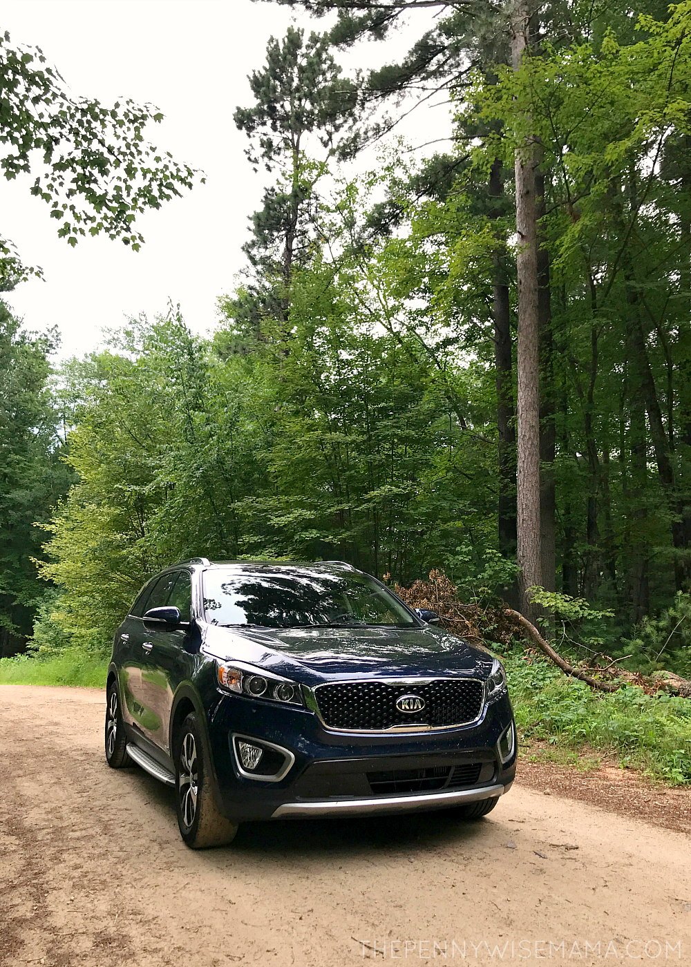 2017 Kia Sorento EX