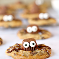 Gluten-Free Spider Cookies