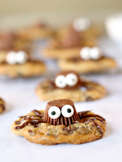 Easy Gluten-Free Spider Cookies
