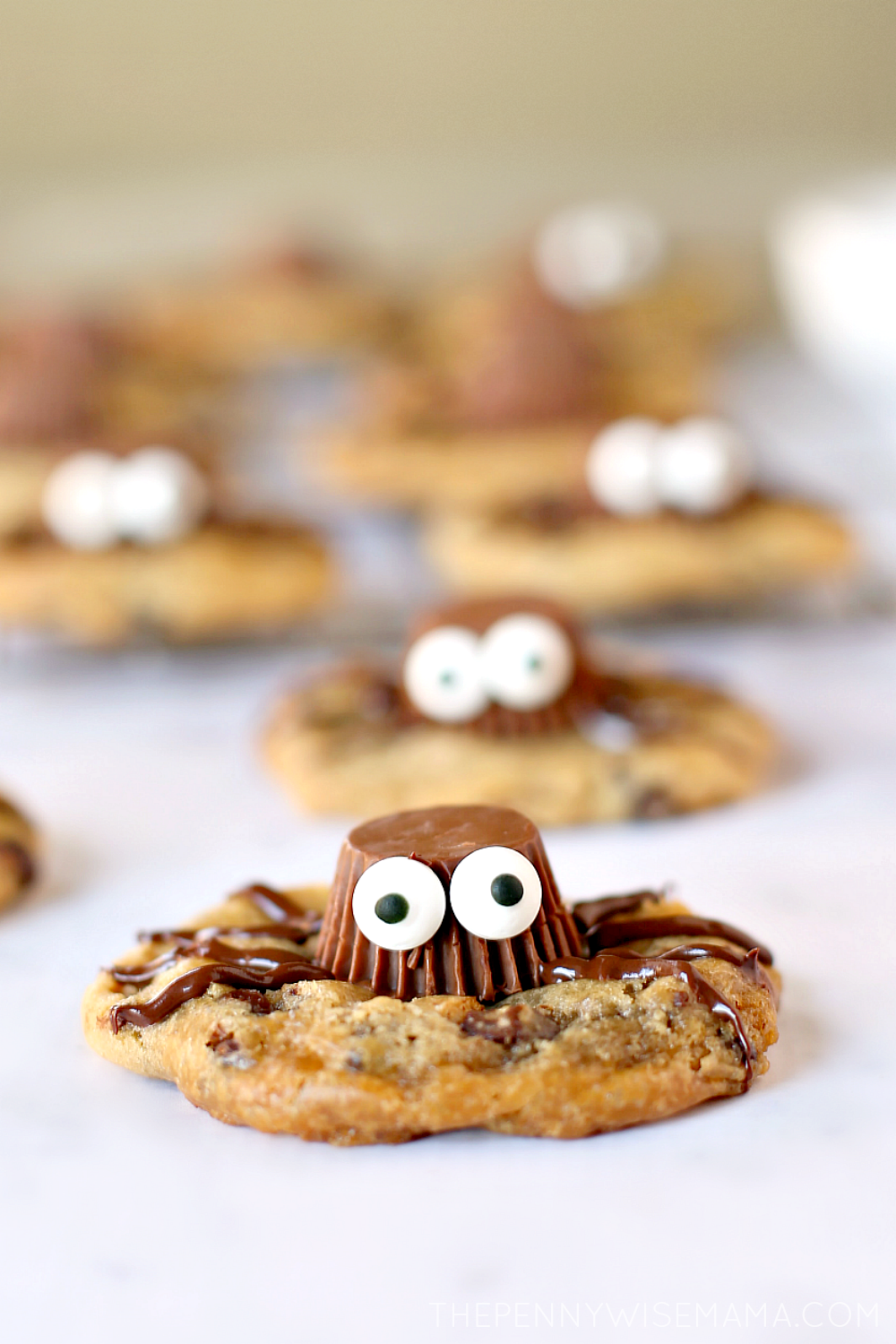 Easy Gluten-Free Spider Cookies