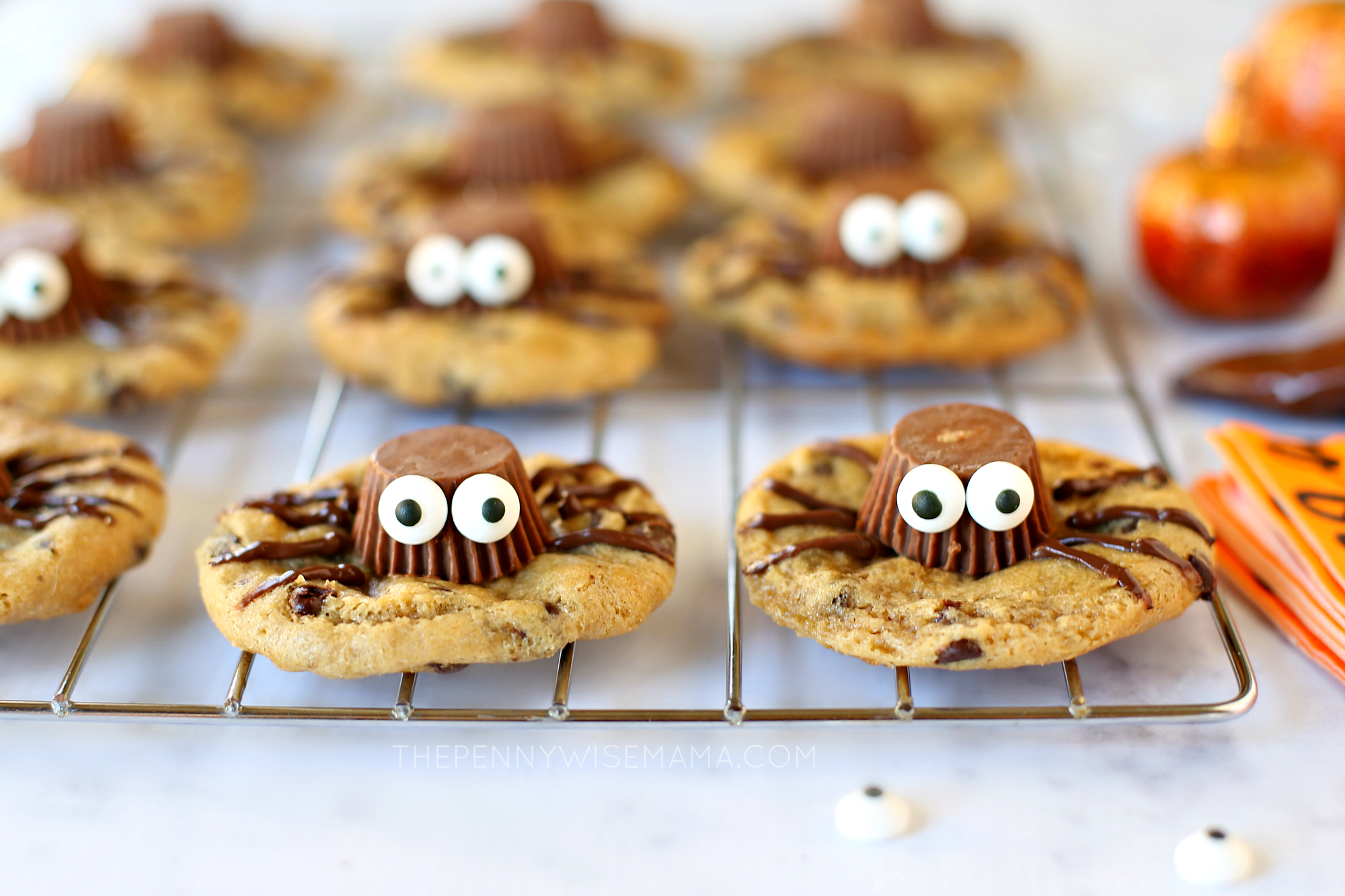 Cute Spider Cookies 