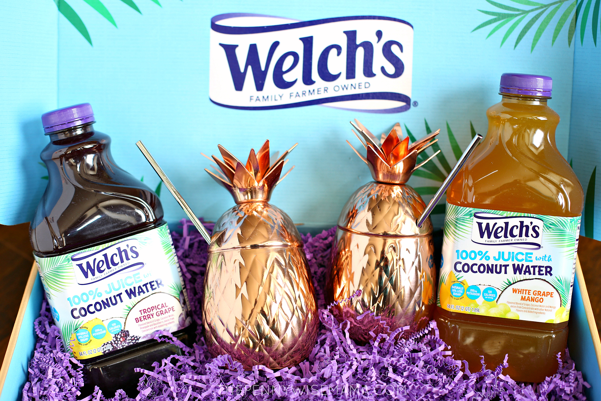 Welch's 100% Juice with Coconut Water