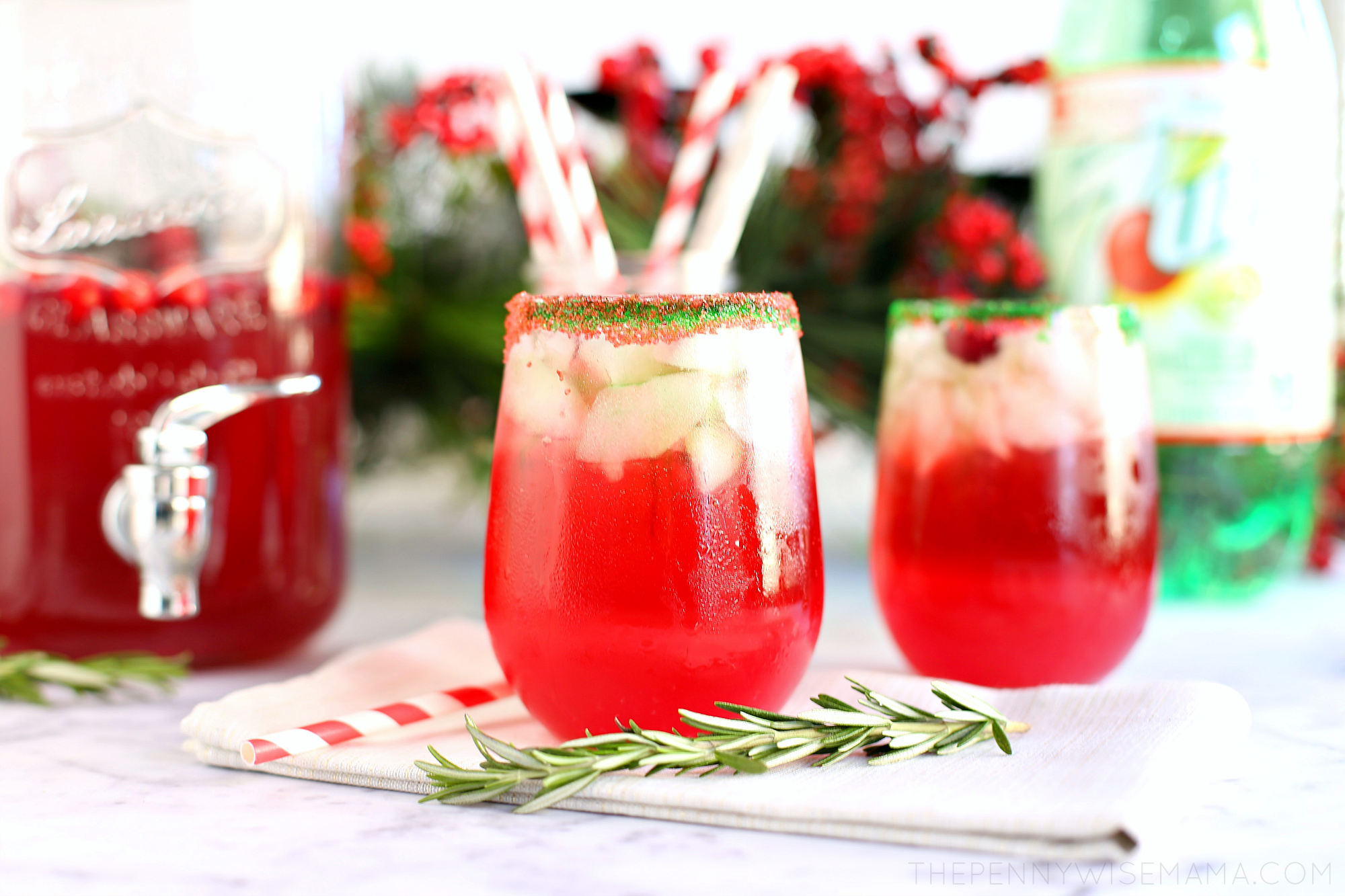 Sparkling Cranberry Holiday Punch