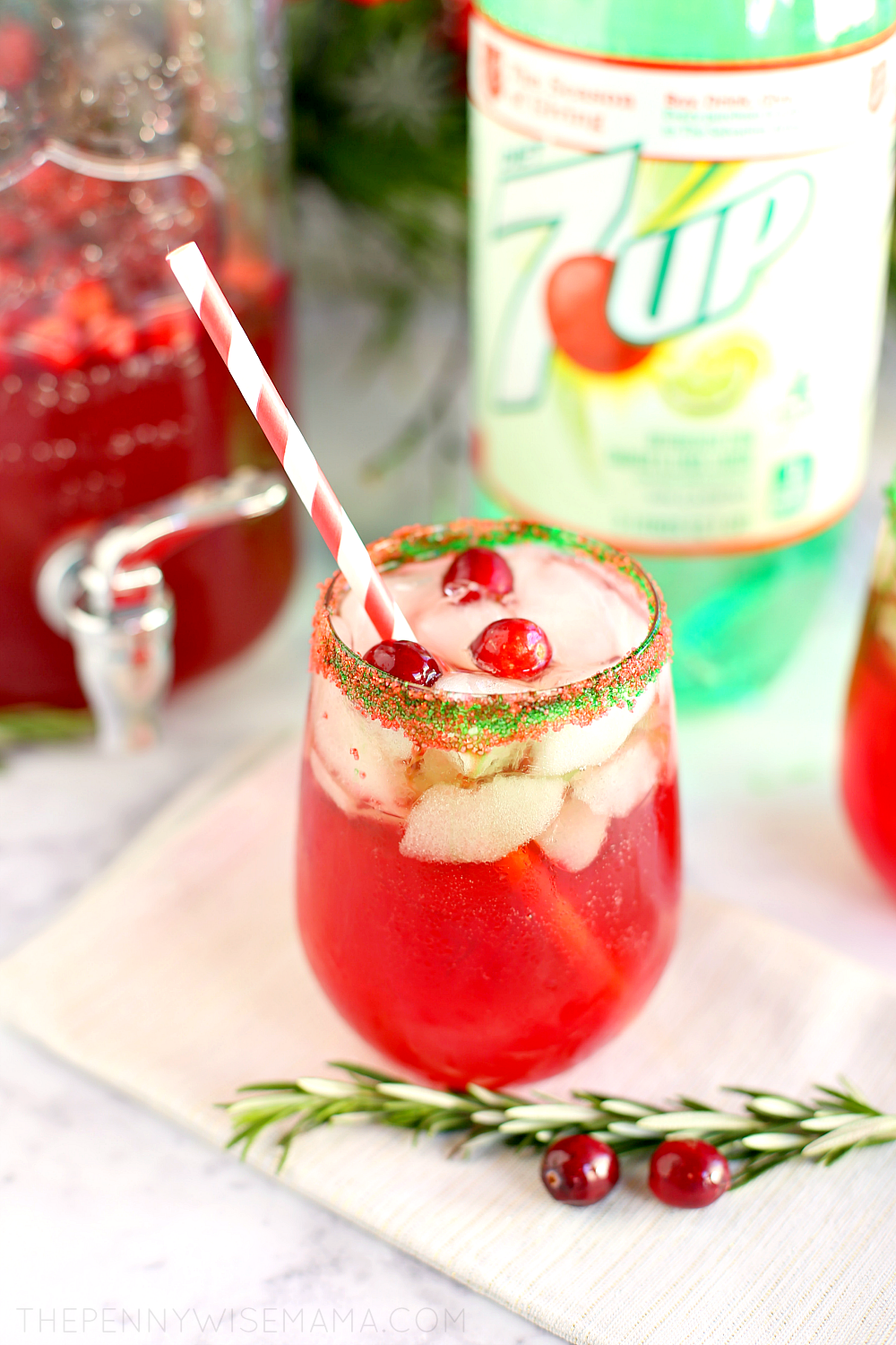 Sparkling Holiday Punch