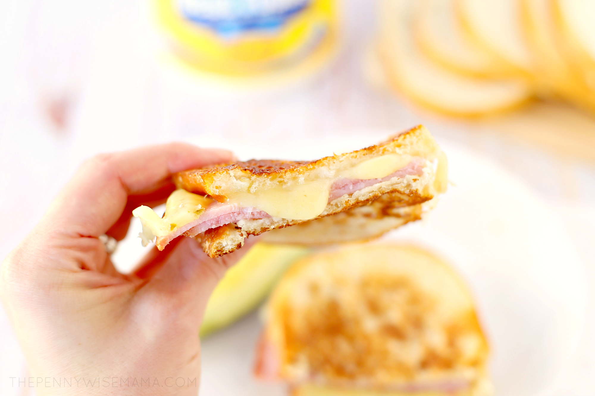 Grilled Ham and Pepper Jack Cheese Sandwich 