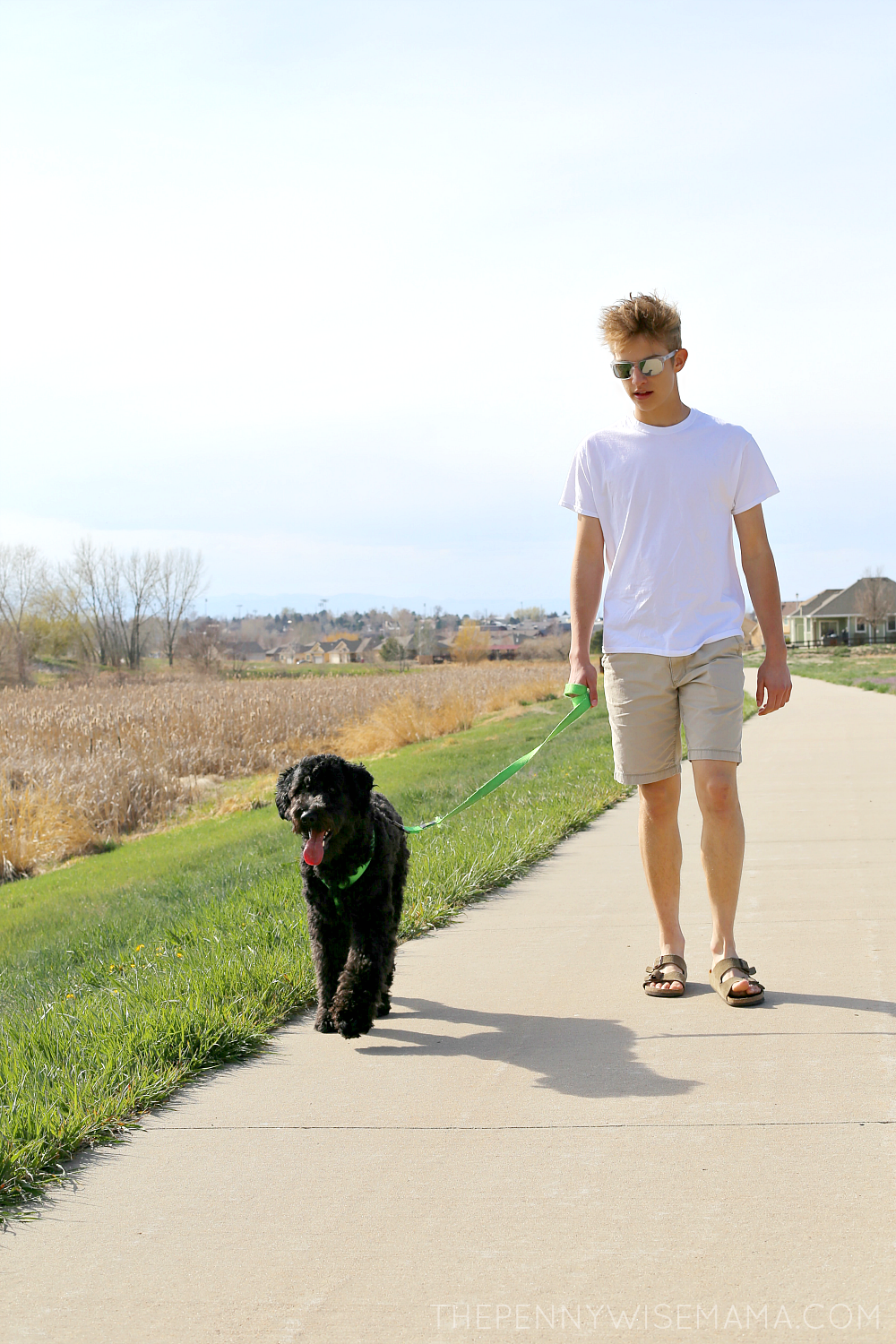 20 Minutes of Outdoor Activity - Walking Our Dog