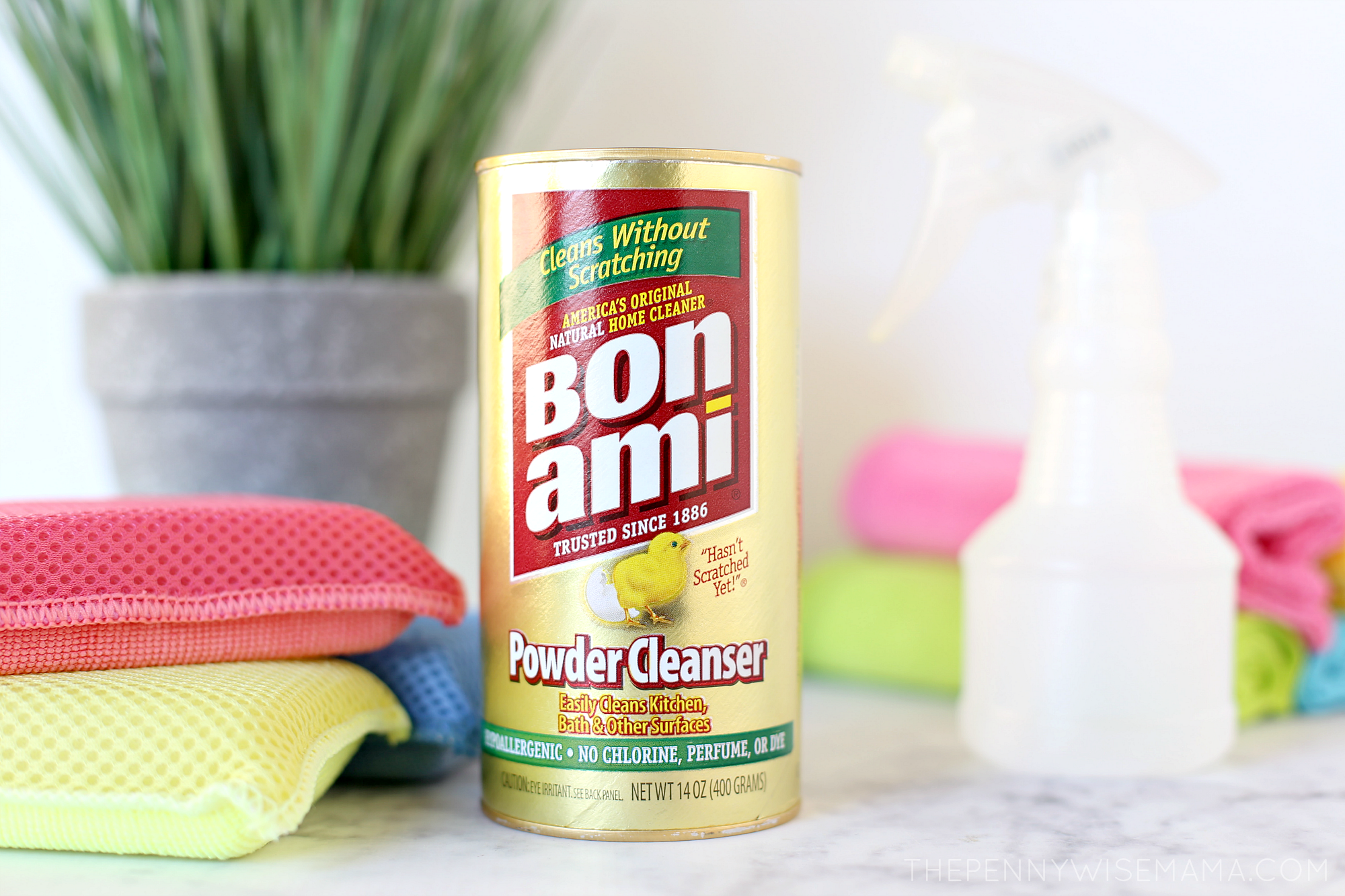 How To Clean a Microwave - Bon Ami