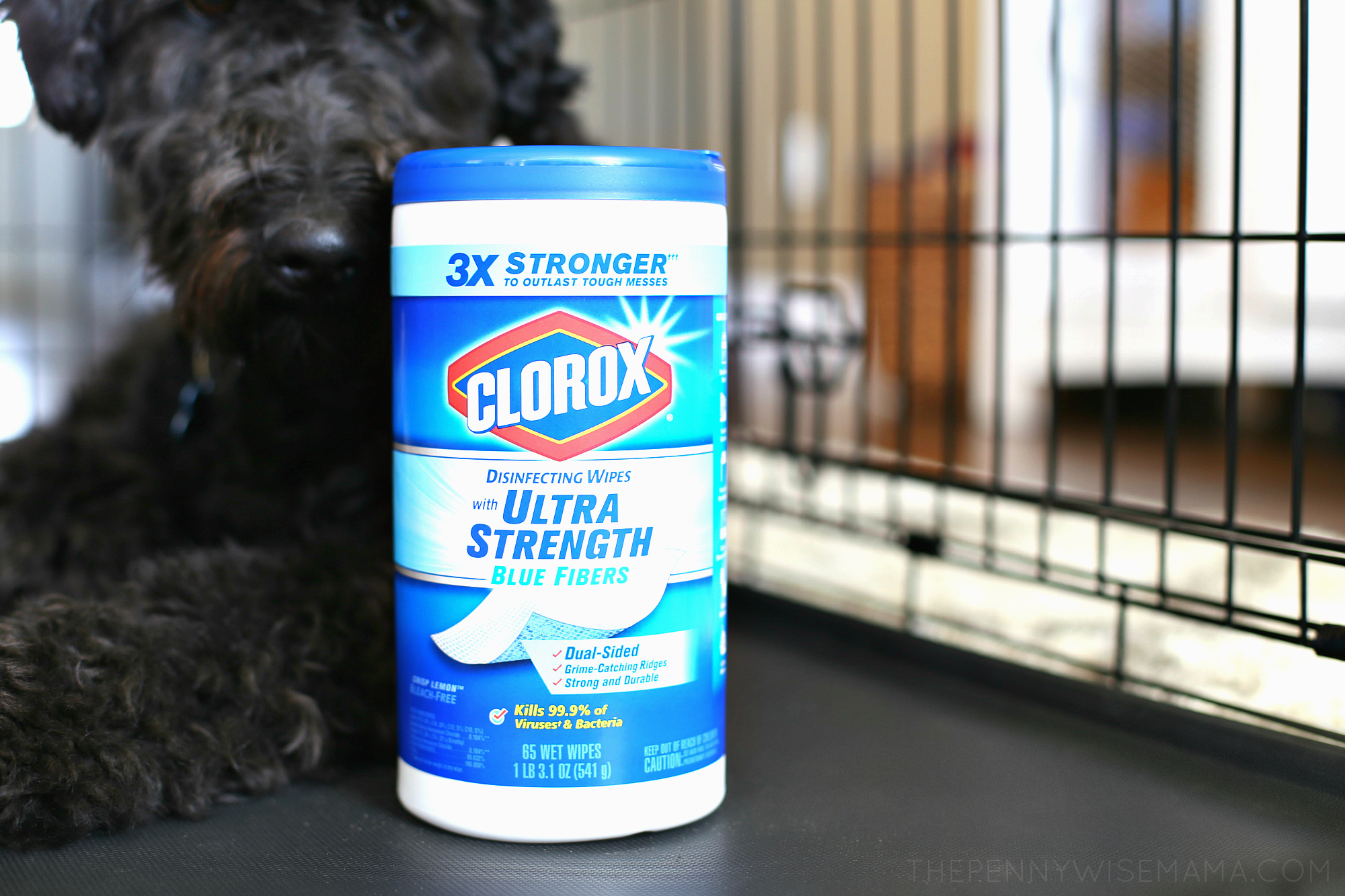 Get Your Dog Kennel Clean & Disinfected with Clorox Clorox Ultra Strength Wipes