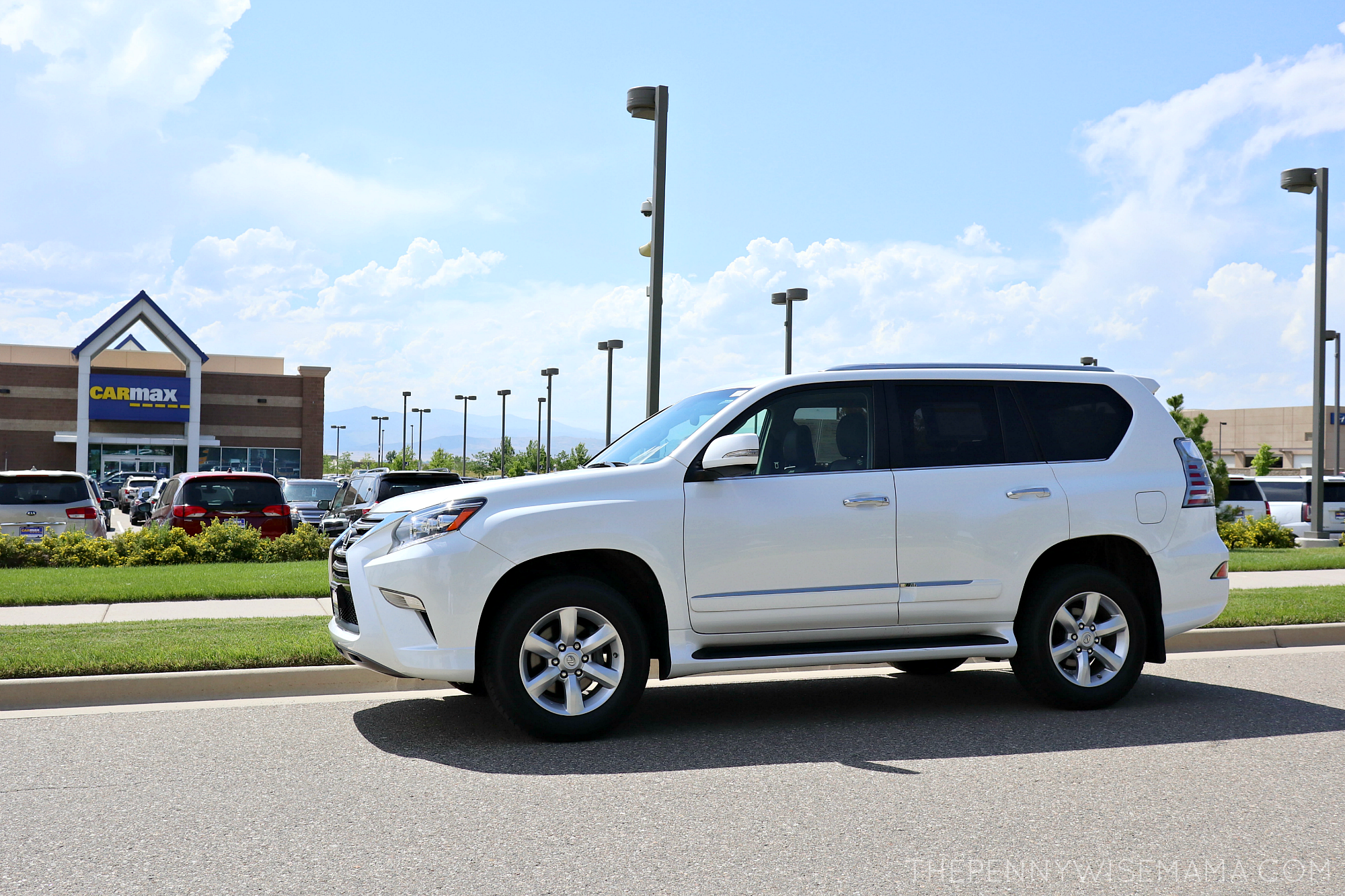 Shopping for a Family Vehicle at CarMax