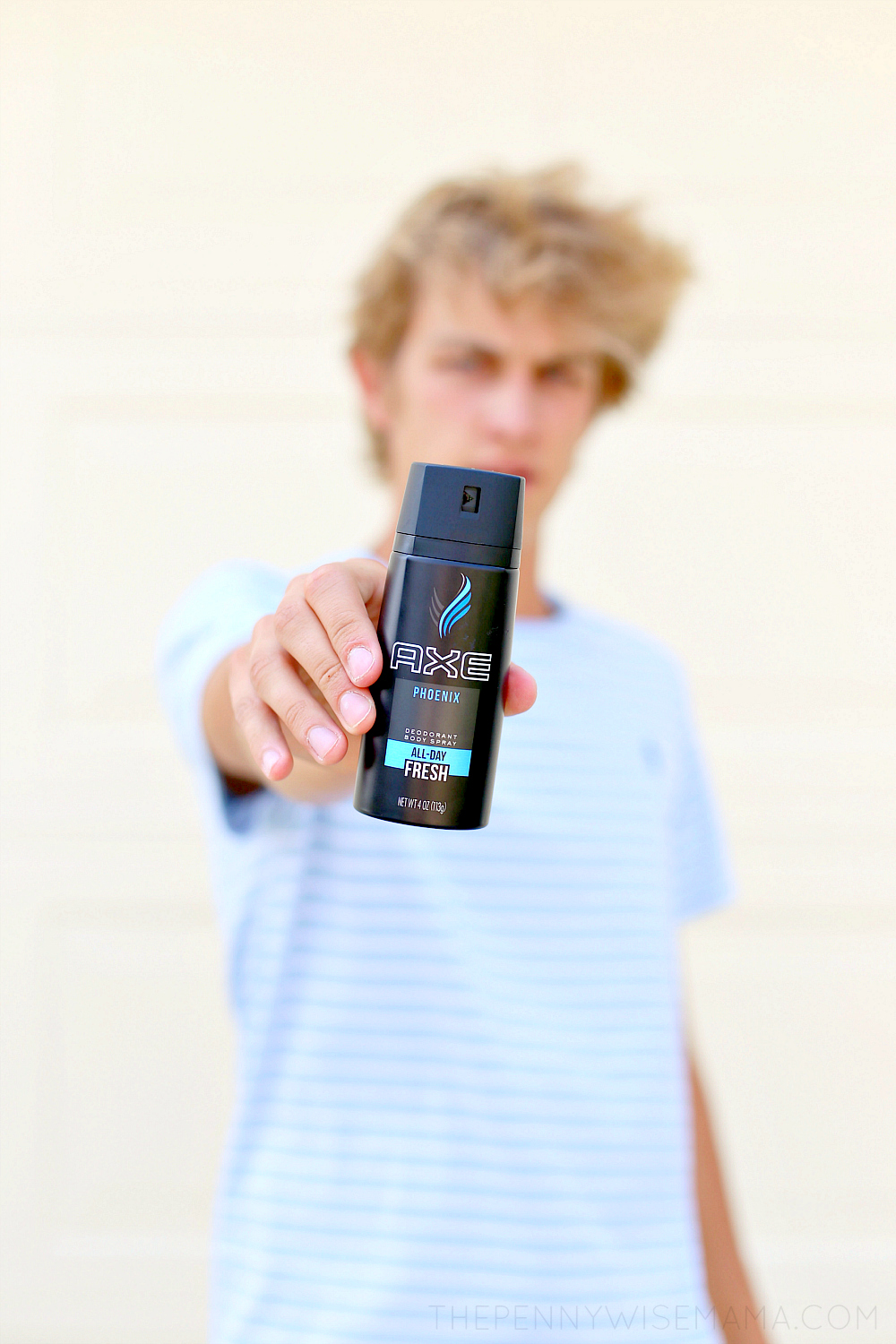 AXE Phoenix - Best Deodorant Body Spray for Teen Boys