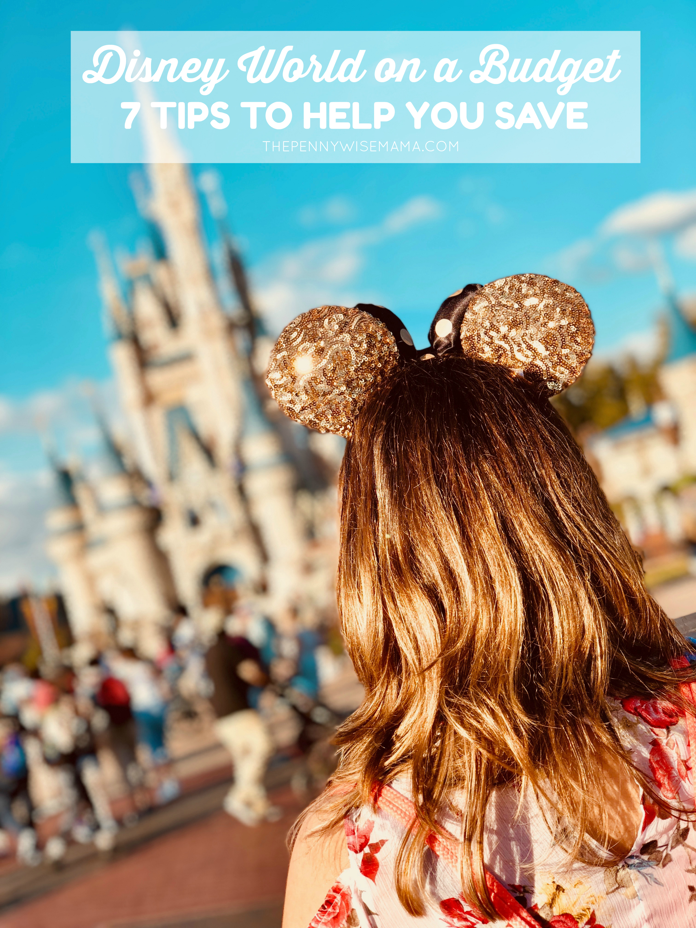 budget disney world trip