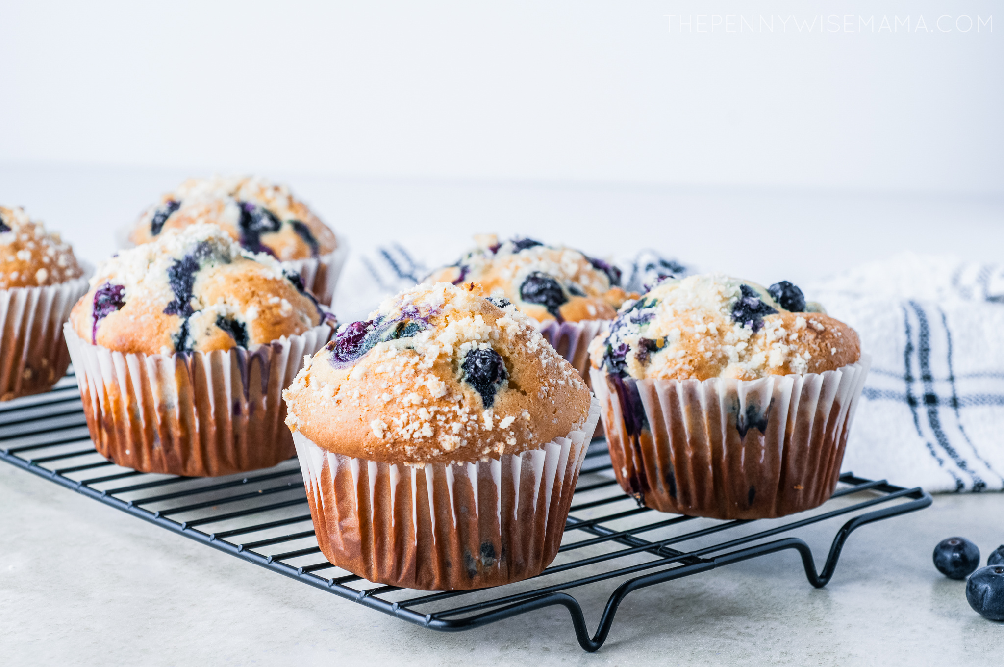 Jumbo Lemon Blueberry Muffins