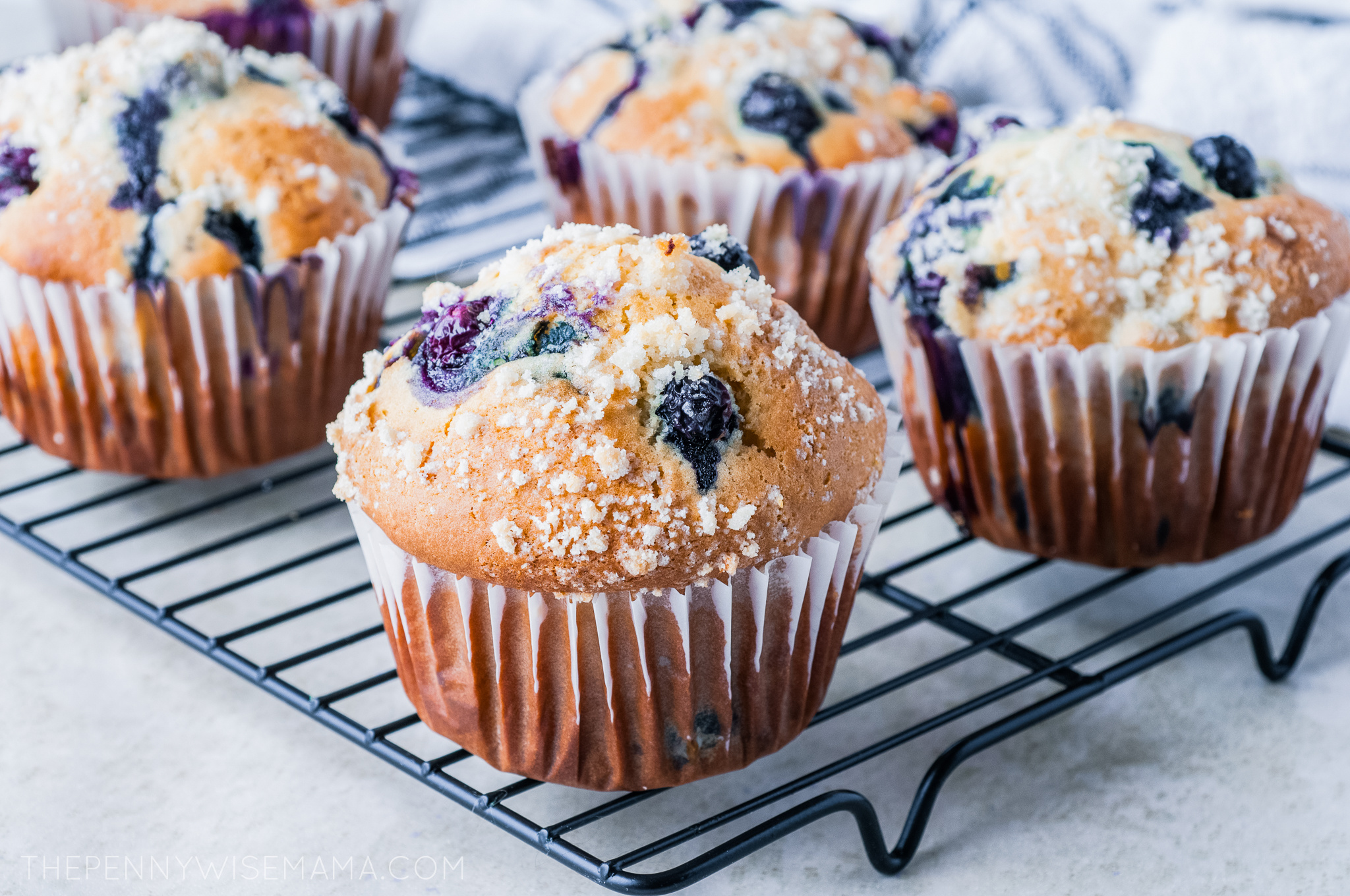 How to Make Jumbo Lemon Blueberry Muffins